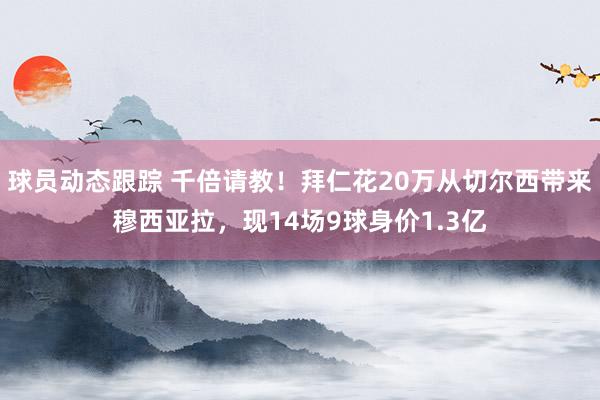 球员动态跟踪 千倍请教！拜仁花20万从切尔西带来穆西亚拉，现14场9球身价1.3亿