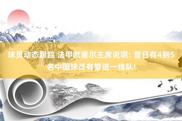 球员动态跟踪 法甲欧塞尔主席说明: 昔日有4到5名中国球员有望进一线队!