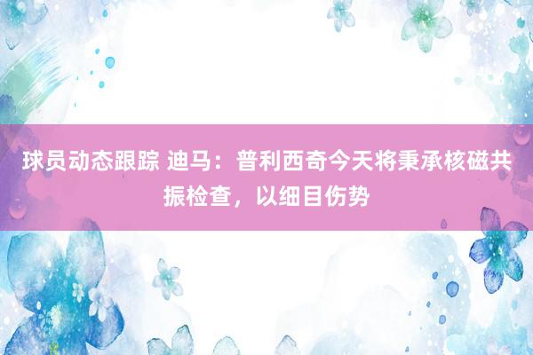 球员动态跟踪 迪马：普利西奇今天将秉承核磁共振检查，以细目伤势