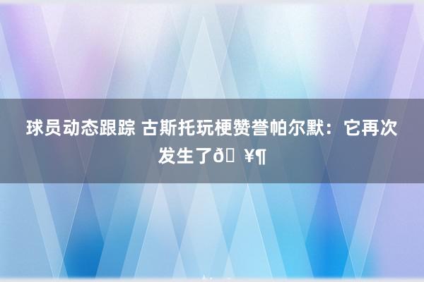 球员动态跟踪 古斯托玩梗赞誉帕尔默：它再次发生了🥶